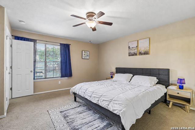 7403 Canopus Bow Property Photo 31