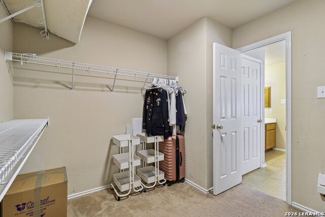 7403 Canopus Bow Property Photo 37