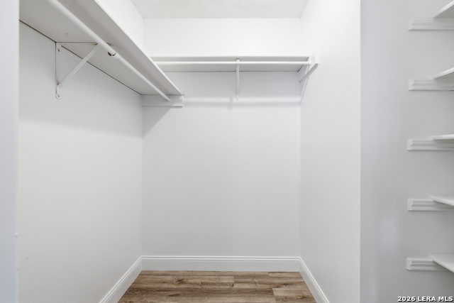 7107 Grassy Trl Property Photo 25
