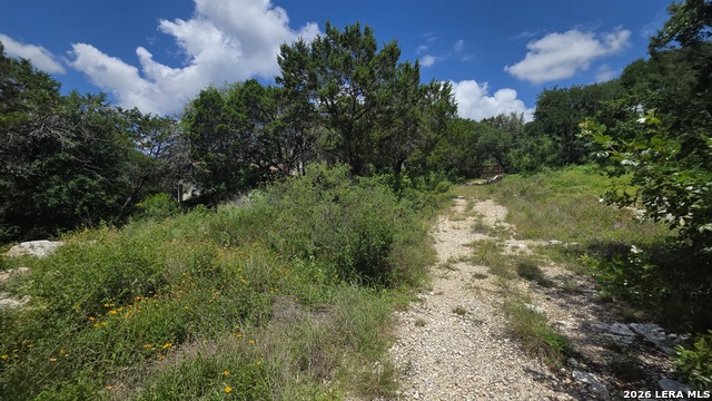 Tbd Hummingbird Hill Property Photo 9