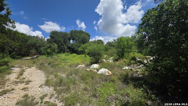 Tbd Hummingbird Hill Property Photo 10
