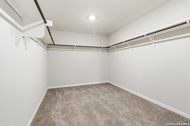 9803 Morgans Ml Property Photo 16