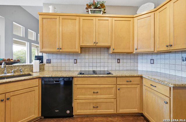 301 Mountain Spring Property Photo 10