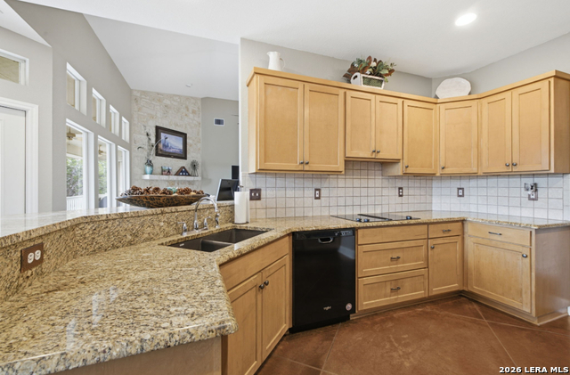 301 Mountain Spring Property Photo 12