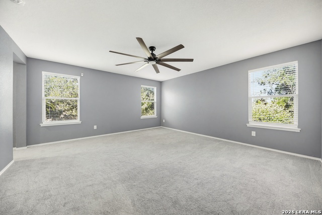 101 Cactus Flower Property Photo 11