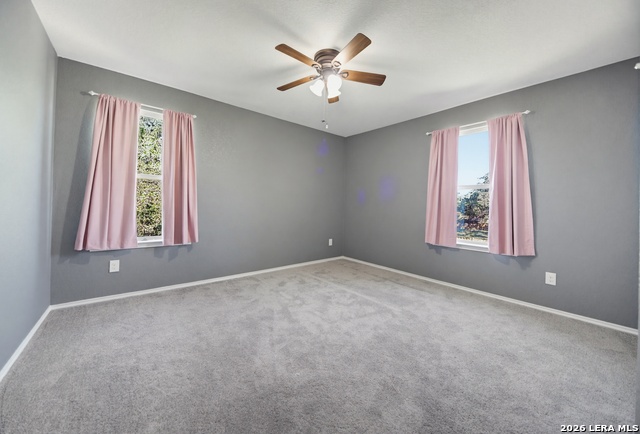 101 Cactus Flower Property Photo 15