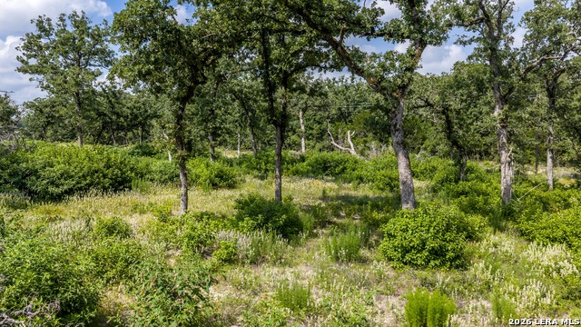 1324 Private Road 4055 Property Photo 32