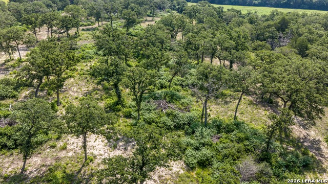 1324 Private Road 4055 Property Photo 34