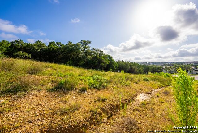 382 Cloudveil Property Photo 14