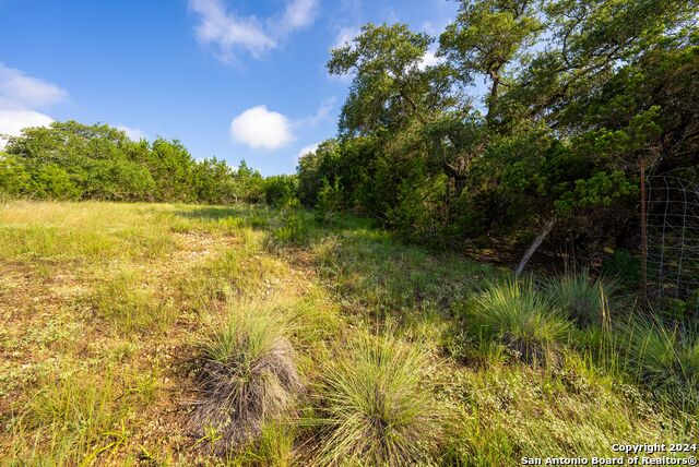 382 Cloudveil Property Photo 16