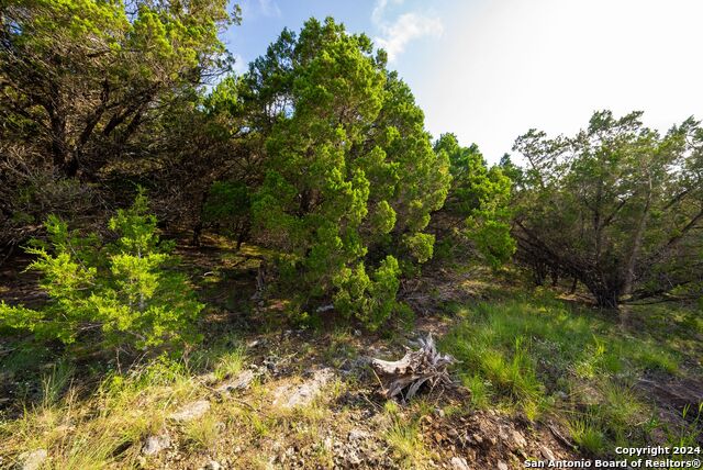 382 Cloudveil Property Photo 17