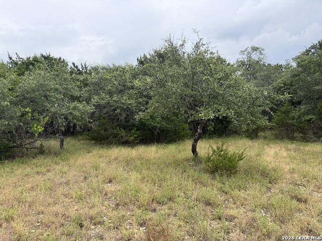 197 Rosenberry Property Photo 1