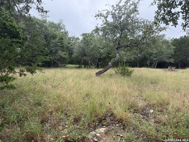 197 Rosenberry Property Photo 2