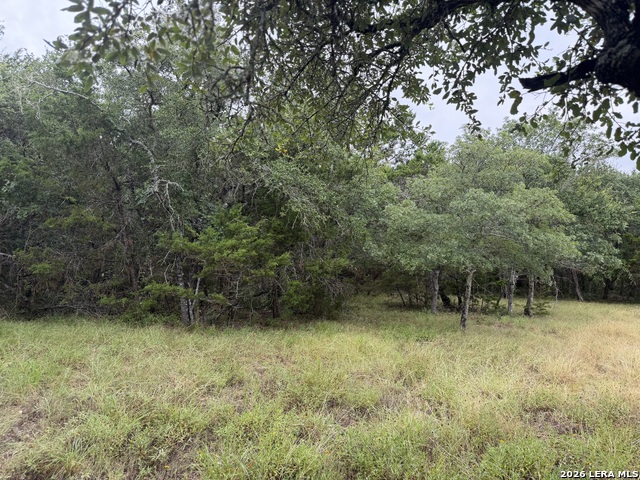 197 Rosenberry Property Photo 3