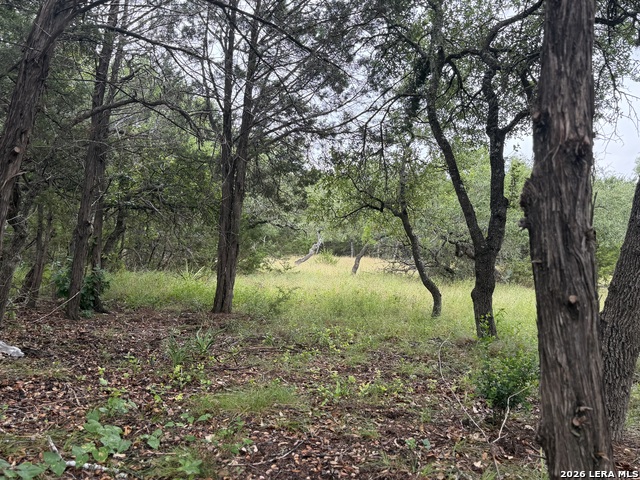 197 Rosenberry Property Photo 4