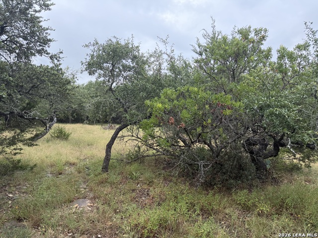197 Rosenberry Property Photo 12