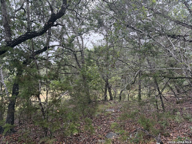 197 Rosenberry Property Photo 14