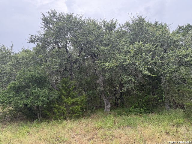 197 Rosenberry Property Photo 15