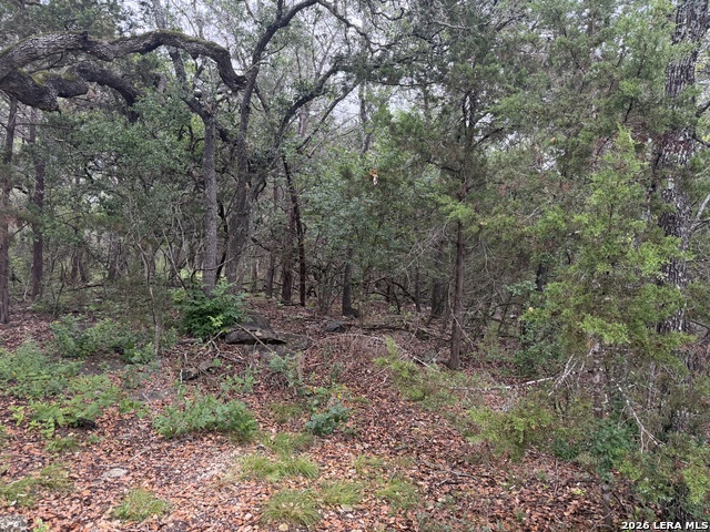 197 Rosenberry Property Photo 17