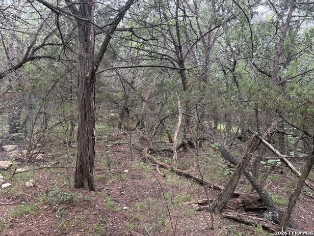 197 Rosenberry Property Photo 18