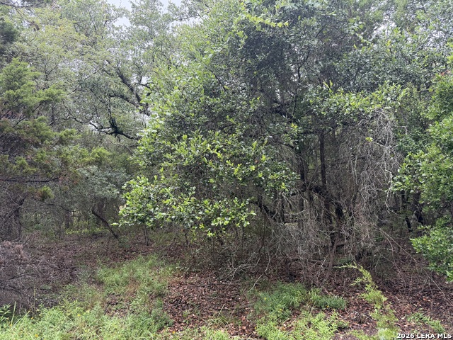 197 Rosenberry Property Photo 19