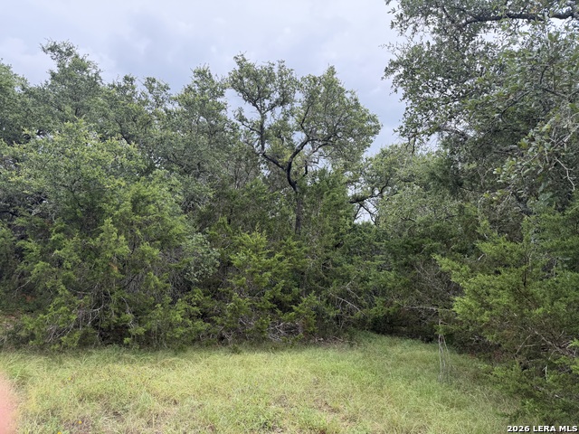 197 Rosenberry Property Photo 22