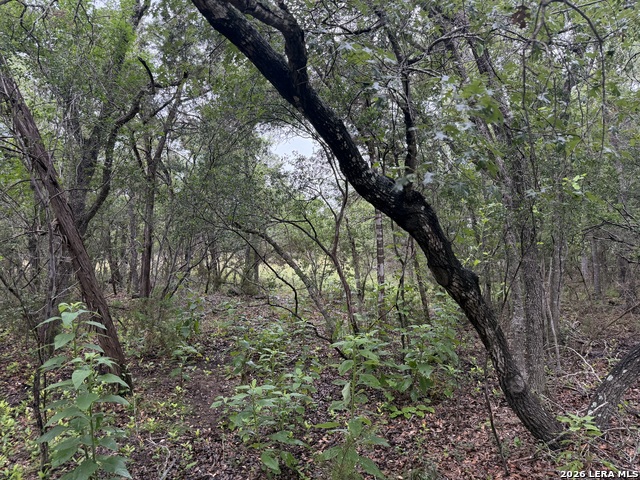 197 Rosenberry Property Photo 23