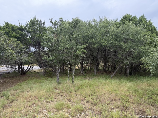 197 Rosenberry Property Photo 24