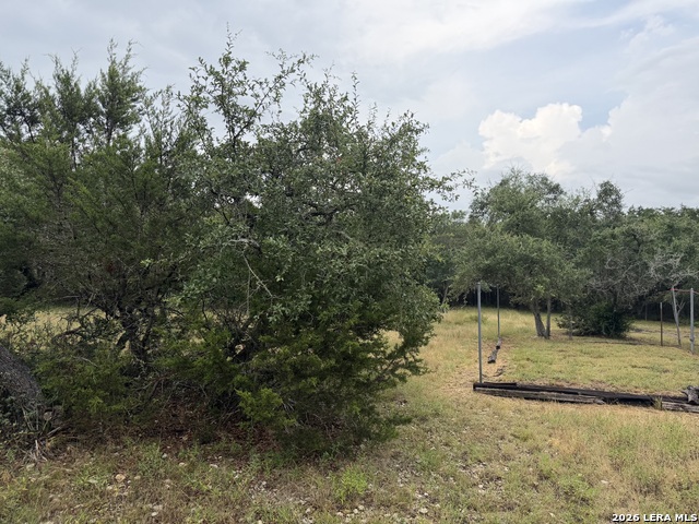 197 Rosenberry Property Photo 25