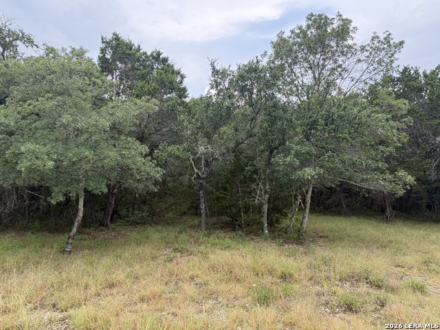 197 Rosenberry Property Photo 26