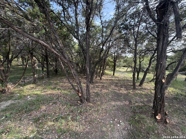 197 Rosenberry Property Photo 27