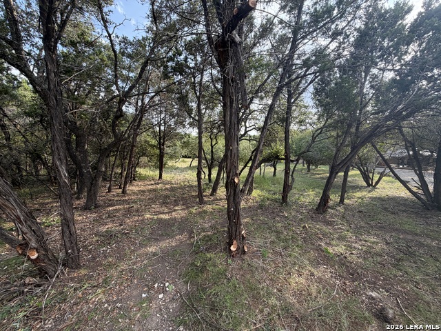 197 Rosenberry Property Photo 28