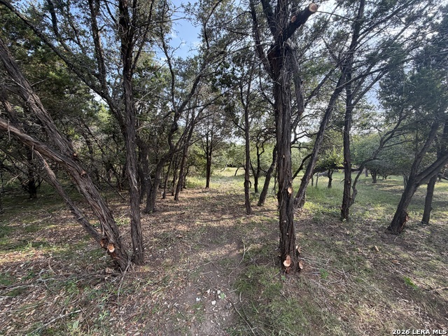197 Rosenberry Property Photo 29