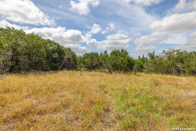 0 Yellowstone Lane Property Photo 5