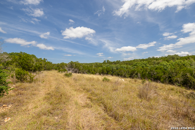 0 Yellowstone Lane Property Photo 7