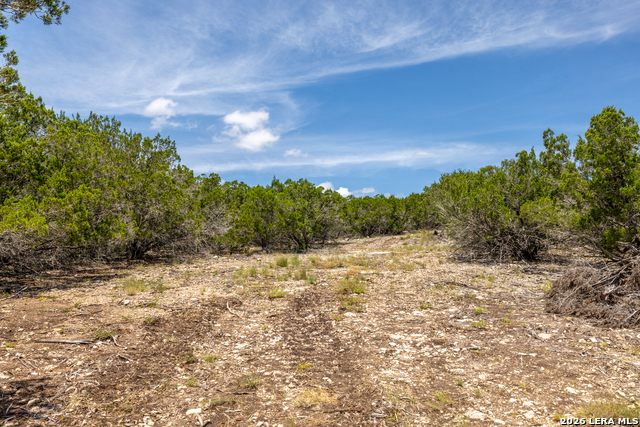 0 Yellowstone Lane Property Photo 8