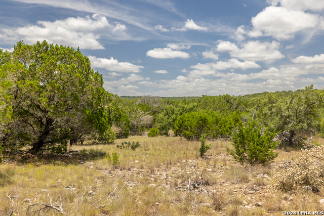 0 Yellowstone Lane Property Photo 11