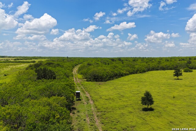 2249 Long Rd Property Photo 13