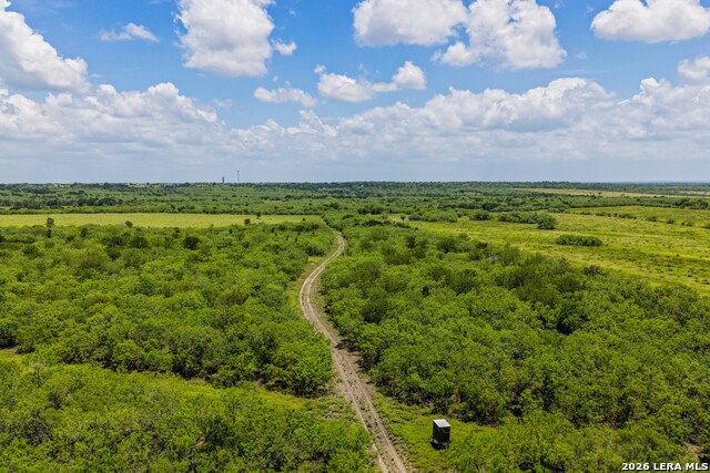 2249 Long Rd Property Photo 16