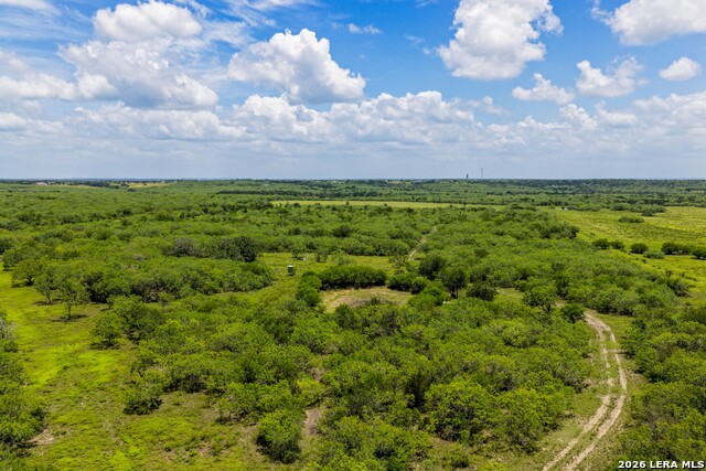 2249 Long Rd Property Photo 32