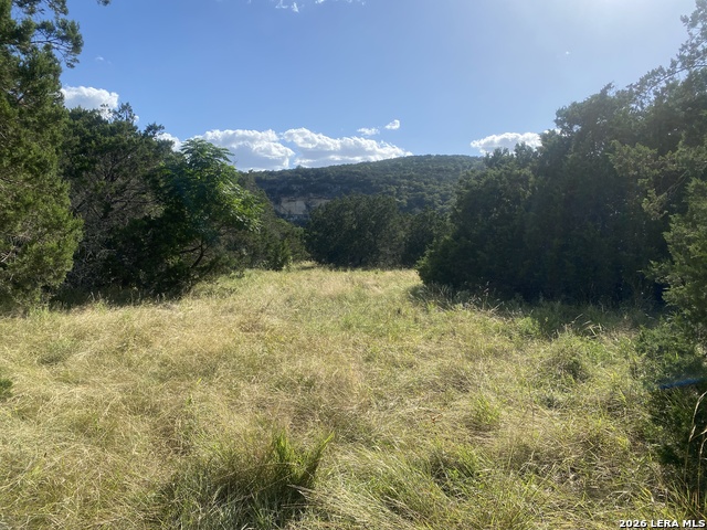 000 Old Rocksprings Rd Property Photo 2