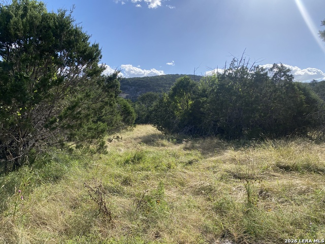 000 Old Rocksprings Rd Property Photo 3