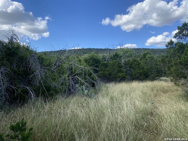 000 Old Rocksprings Rd Property Photo 4