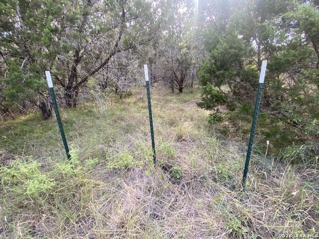 000 Old Rocksprings Rd Property Photo 12