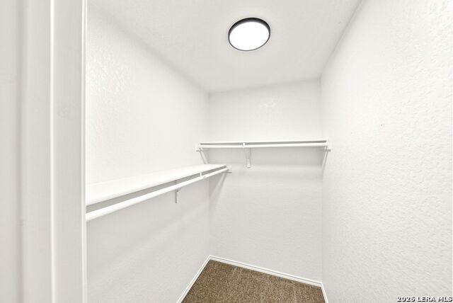 13515 Ashmont Ter Property Photo 34