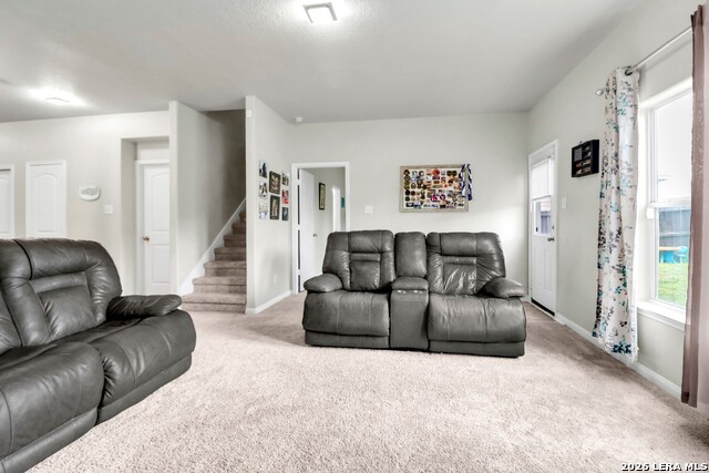 6639 Luckey Pne Property Photo 10