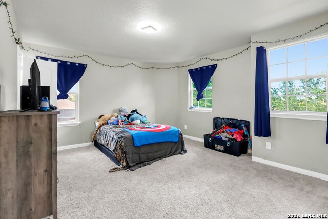 6639 Luckey Pne Property Photo 22