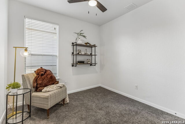5320 Cilantro Property Photo 29