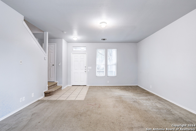 10302 Lateleaf Oak Property Photo 3