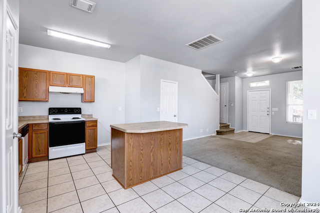 10302 Lateleaf Oak Property Photo 9